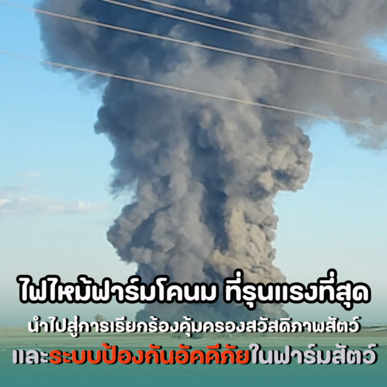 ก๊าซมีเทน สาเหตุไฟไม้ฟาร์มโคนมครั้งใหญ่ที่สุด
Methane cause explosion at Texas Dairy Farm