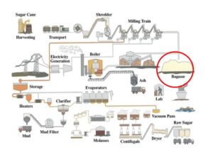 Sugar Bagasse Process